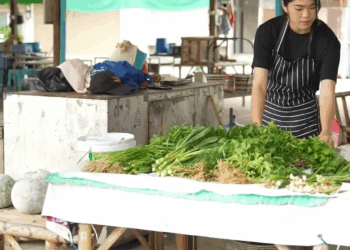 [หนังเต็มเรื่อง] 455H0805 L เพื่อนแบบนี้ จะหาได้จากที่ไหน