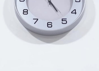 [หนังเต็มเรื่อง] 438H0815 E ผลไม้เน่าป้านกเอามาย้อมสี กล้าทำขนาดนี้เพราะมี