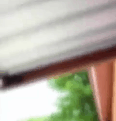 [หนังเต็มเรื่อง] 442H0815 E ผู้ชายคนนี้ปลอมเป็นvยะ เพื่อดักจับตำรวจ