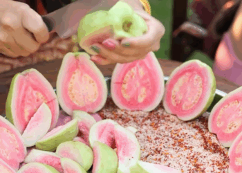 [หนังเต็มเรื่อง] 585H0805 F ฝรั่งกระทงสีชมพู จิ้มพริกเกลือรสเด็ด