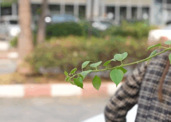 [หนังเต็มเรื่อง] 770H0815 Y ขอทานมาเช็คกระจกรถของประธานบริษัทเพื่อแลกขนมปัง