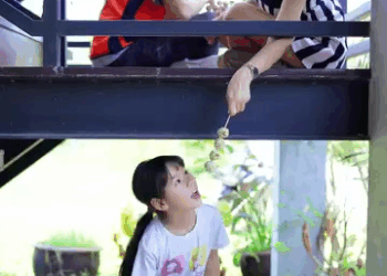 [หนังเต็มเรื่อง] 475H0815 E ลูกติดสามีเก่า ทำไมเธอต้องเอามาเลี้ยงไว้ใต้บันใด